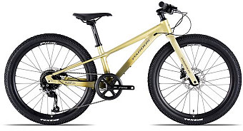 Купить PARDUS Mini Naik RS 24 Disc Altus 2023