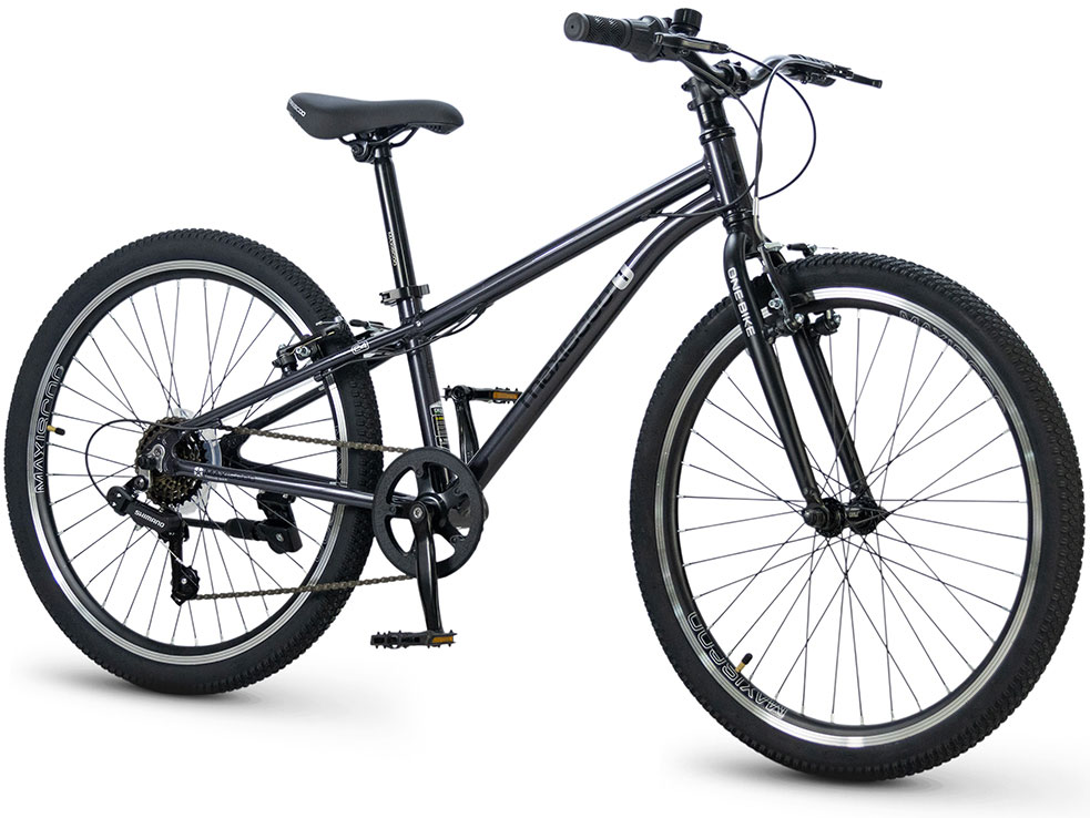 Купить MAXISCOO 1Bike 24 2026