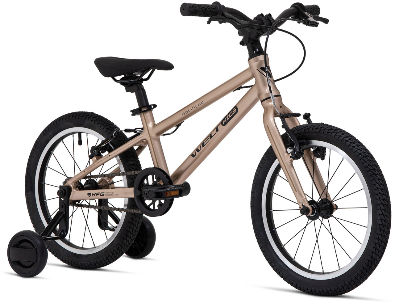 Купить WELT Teddy 16 2026