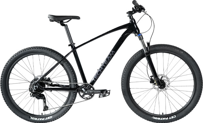 Купить TECH TEAM Lavina 29 2025