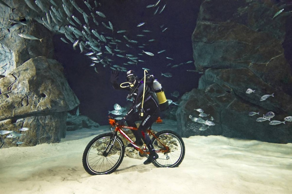 велосипед под водой.jpg