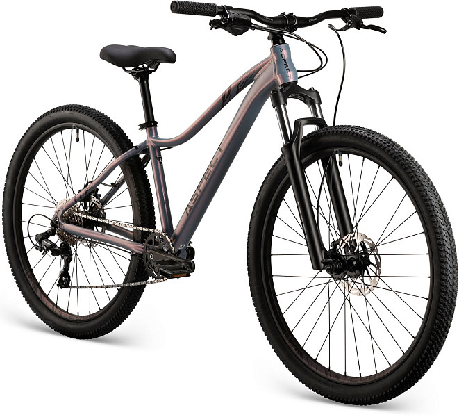 Купить ASPECT Alma Pro 27.5 2025