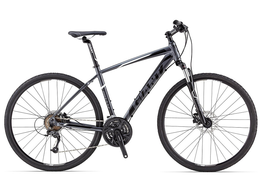 Купить Giant Roam 2 Disc 2014