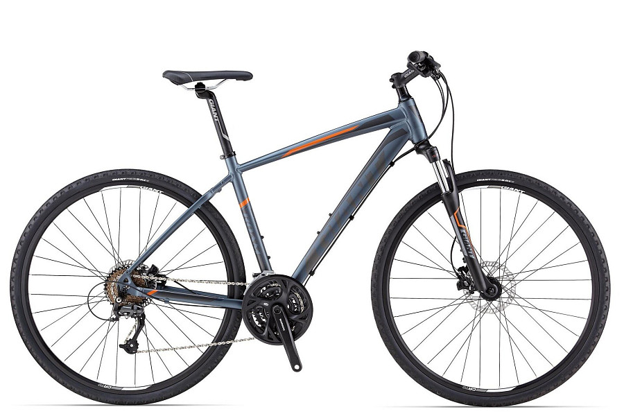Купить Giant Roam 2 Disc 2014