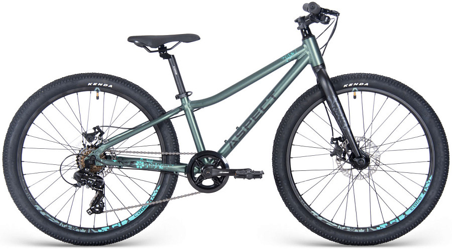 Купить ASPECT Angel Lite 24 2025