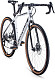 Купить FORWARD Impulse 28 X 2021